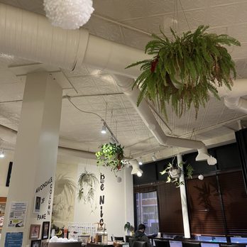 Sipping Turtle Cafe - Cafes Near Me - Chicago, Illinois
