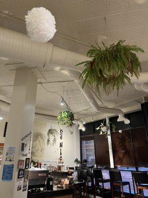 Sipping Turtle Cafe by null