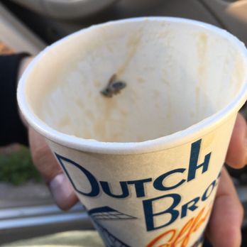Dutch Bros Coffee - This is the bee I spit out when I got to the bottom of my cup of coffee. I'm not at all amused by this and will not be returning. - Coffee & Tea Near Me - Mesa, Arizona