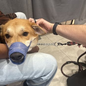 Atlas Pet Hospital - Veterinarians Near Me - Norco, California Atlas Pet Hospital - Veterinarians Near Me - Norco, California