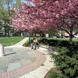 St Joseph's Part time MBA