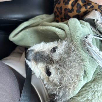 Kearney Ag & Auto Repair - Of course now she's complaining it's too cold... - Auto Repair Near Me - Kearney, Nebraska Kearney Ag & Auto Repair - Of course now she's complaining it's too cold... - Auto Repair Near Me - Kearney, Nebraska