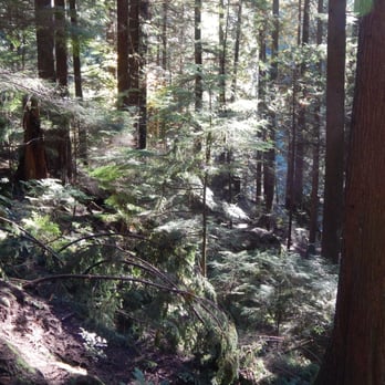 Lynn Canyon Park - Parks Near Me - North Vancouver, British Columbia
