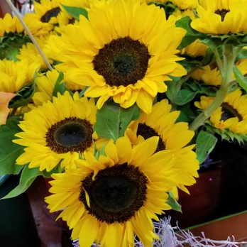 Unique Flowers - Nurseries & Gardening Near Me - Brooklyn, New York