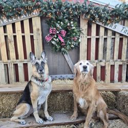 Meert Tree Farm