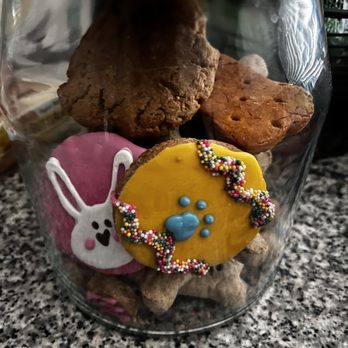 The Dog Bakery - Our dog cookie jar is full - Pet Stores Near Me - Long Beach, California The Dog Bakery - Our dog cookie jar is full - Pet Stores Near Me - Long Beach, California