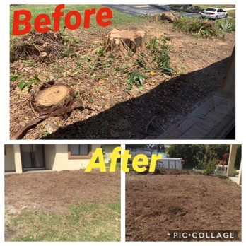 MRC LANDSCAPING - 4 large stomps before and after! - Tree Services Near Me