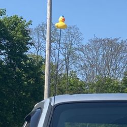 Rhinebeck Central School District - We all love the truck with the rubber ducky!!