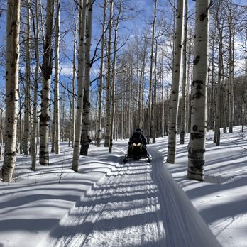 Wasatch Excursions  - Among the aspen trees. - ATV Rentals/Tours Near Me - Midway, Utah