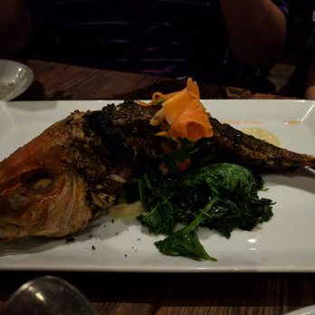 Coltivare - Snapper - Italian Near Me - Houston, Texas Coltivare - Snapper - Italian Near Me - Houston, Texas