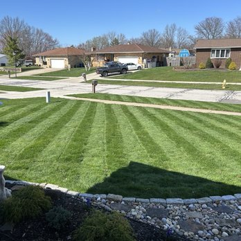 TruGreen Lawn Care - My yard treated every year by TruGreen! - Tree Services Near Me - Brunswick, Ohio TruGreen Lawn Care - My yard treated every year by TruGreen! - Tree Services Near Me - Brunswick, Ohio