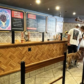Salt & Straw - Inside - Ice Cream & Frozen Yogurt Near Me - San Diego, California Salt & Straw - Inside - Ice Cream & Frozen Yogurt Near Me - San Diego, California