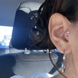 Double Tragus Double Tragus