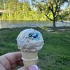 Riverfront Miniature Golf & Ice Cream gift card