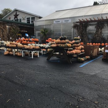 King S Gardens Garden Center 11 Photos Nurseries Gardening 4560 Nicholasville Rd Lexington Ky Phone Number Yelp - Kings Gardens Nursery Lexington Ky King S Gardens Garden Center 11 Photos Nurseries Gardening 4560 Nicholasville Rd Lexington Ky Phone Number Yelp - Kings Gardens Nursery Lexington Ky