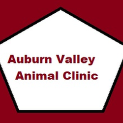 Auburn Valley Animal Clinic - untitled