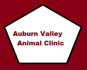 Auburn Valley Animal Clinic - pet boarding facility in Auburn, WA