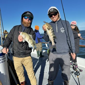 Dolphin Sportfishing - Beautiful Sandbass, and beautiful calico - Boating Near Me - San Diego, California