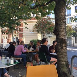 Walvis - Terras