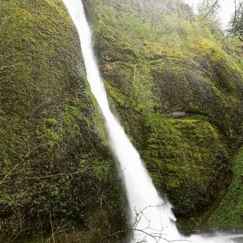 Horsetail Falls - Hiking Near Me - Cascade Locks, Oregon Horsetail Falls - Hiking Near Me - Cascade Locks, Oregon
