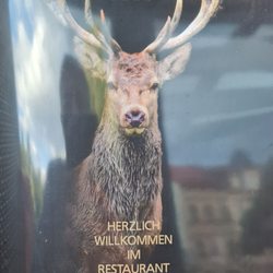 Bel Canto - A Hirsch