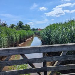 Henry Hudson Trail
