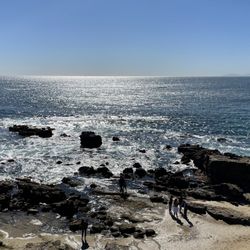 Laguna Beach Walks
