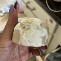 Mold is all over Mold is all over