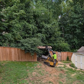 Cleartree - Final piece - Tree Services Near Me - Joppa, Maryland