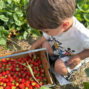 Berry Hill Farm - Fruits & Veggies Near Me - Anoka, Minnesota Berry Hill Farm - Fruits & Veggies Near Me - Anoka, Minnesota