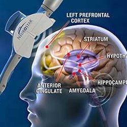 Prime Behavioral Health