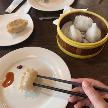 Purple Dot Cafe - Dim Sum Near Me - Seattle, Washington Purple Dot Cafe - Dim Sum Near Me - Seattle, Washington