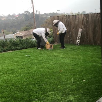 All Pro Bee Removal - Pest Control Near Me