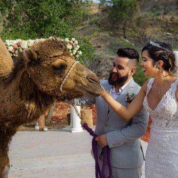 Reptacular Animals - Party & Event Planning Near Me - Sun Valley, California Reptacular Animals - Party & Event Planning Near Me - Sun Valley, California