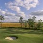 Photo of Osprey Cove