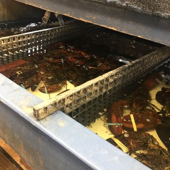 James Hook & Co - Lobster - Seafood Near Me - Boston, Massachusetts