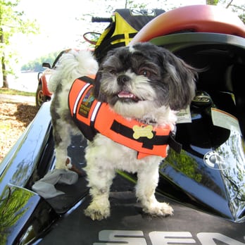 Fetch! Pet Care - Pet Sitting Near Me