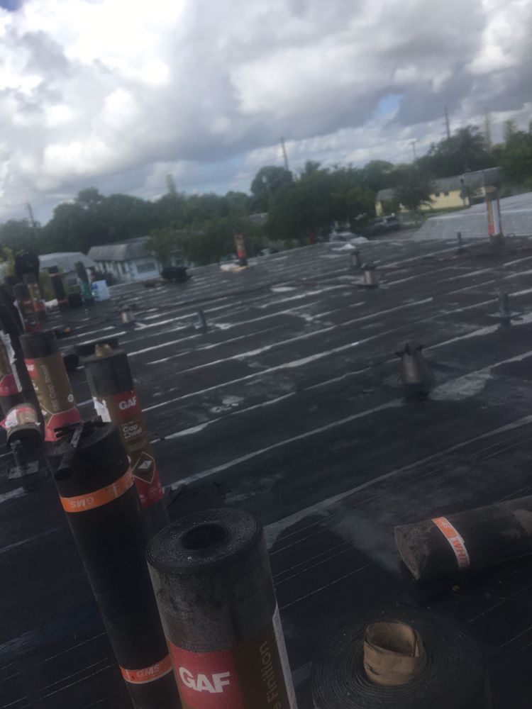 Slide of Tree Of The World Roofing