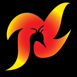 Massage Feniks Brugge