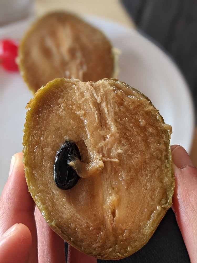 YEE’S ORCHARD & FRUIT STAND Updated July 2024 81 Photos & 114