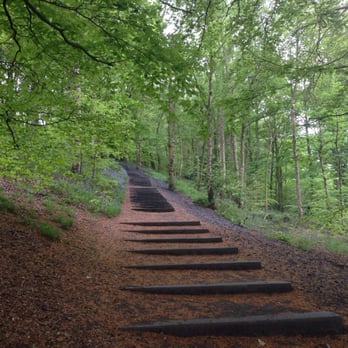 Yorkshire Sculpture Park - The 71 steps by david nash - Parks Near Me - Wakefield, XWY