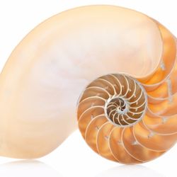 Venus In The 12th House Energy Healing - The depth of Pisces, the 12th House...  and Sacred Geometry.