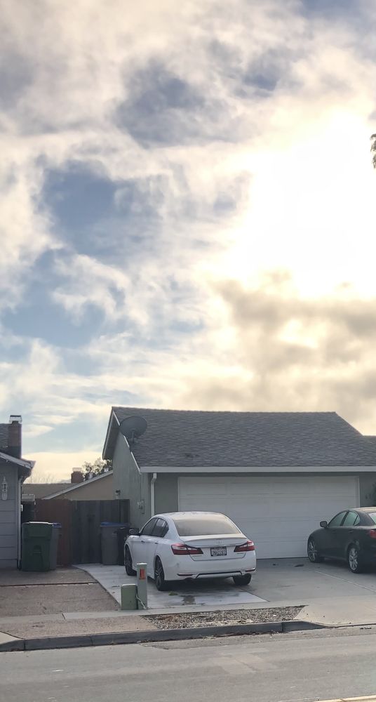 GREEN EARTH TREE SERVICE Updated August 2024 33 Photos San Jose