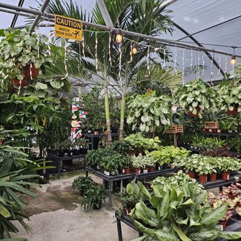 Plants Alive! - Nurseries & Gardening Near Me - Silver Spring, Maryland
