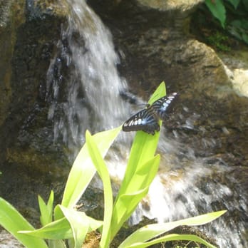 Peggy Notebaert Nature Museum - Museums Near Me - Chicago, Illinois Peggy Notebaert Nature Museum - Museums Near Me - Chicago, Illinois