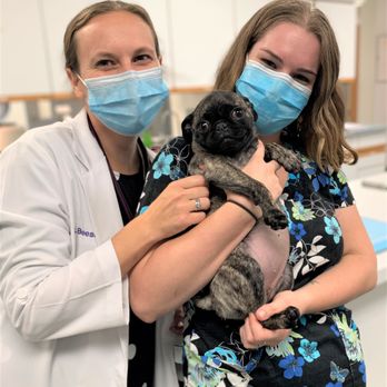 Goodison Veterinary Center - Veterinarians Near Me - Rochester, Michigan