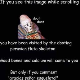 an image of a skeleton an image of a skeleton