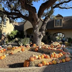 Alden Lane Nursery