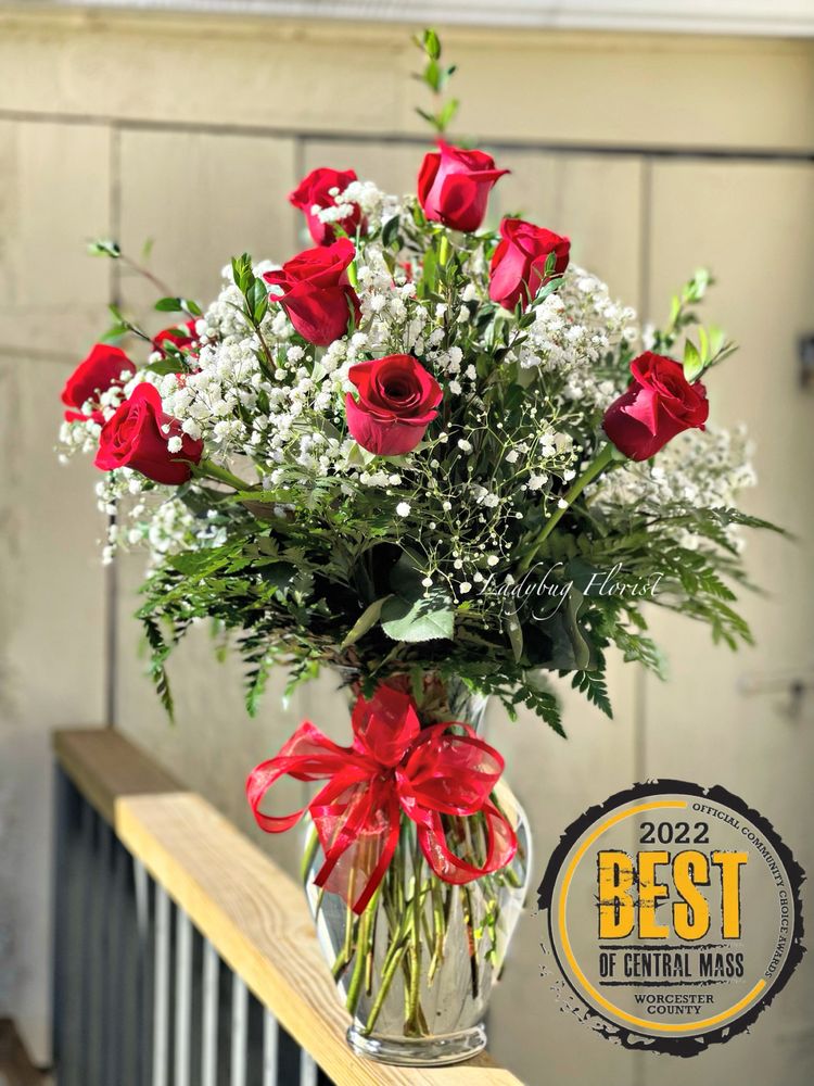 LADYBUG FLORIST Updated September 2024 63 Photos 1050 Main St