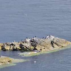Castle Of Old Wick
